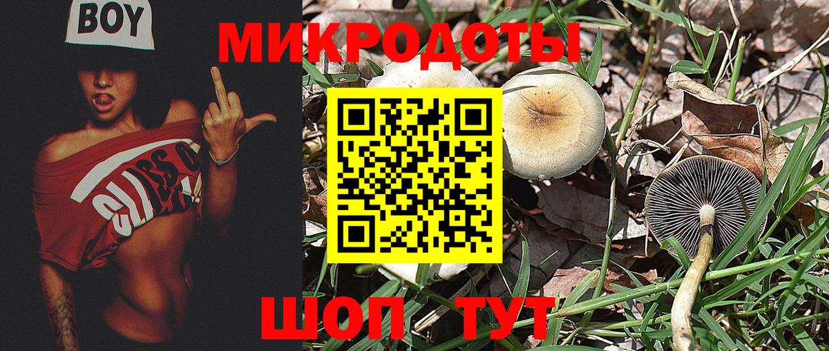 Псилоцибиновые грибы мицелий  Вход с VPN  Грязи 