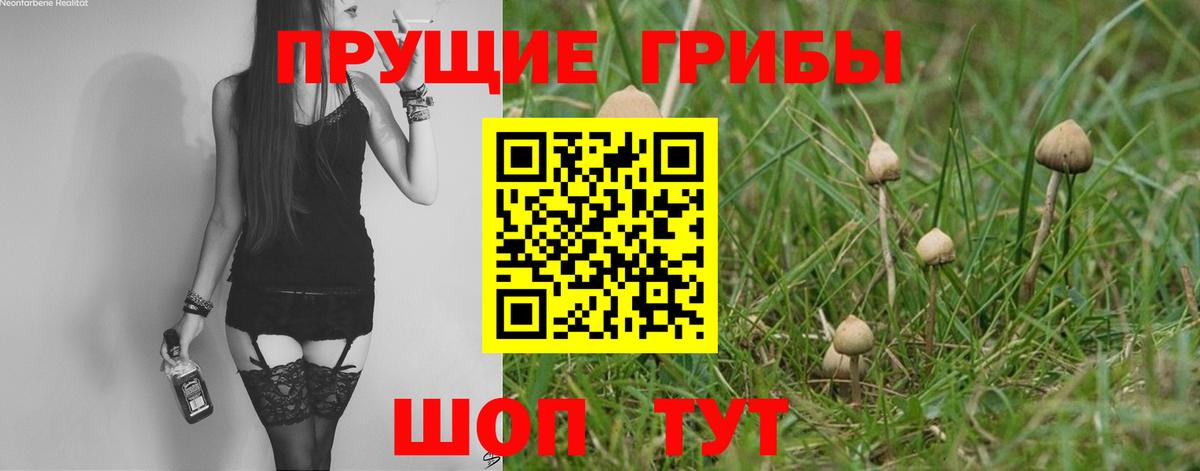 Галлюциногенные грибы Cubensis Грязи